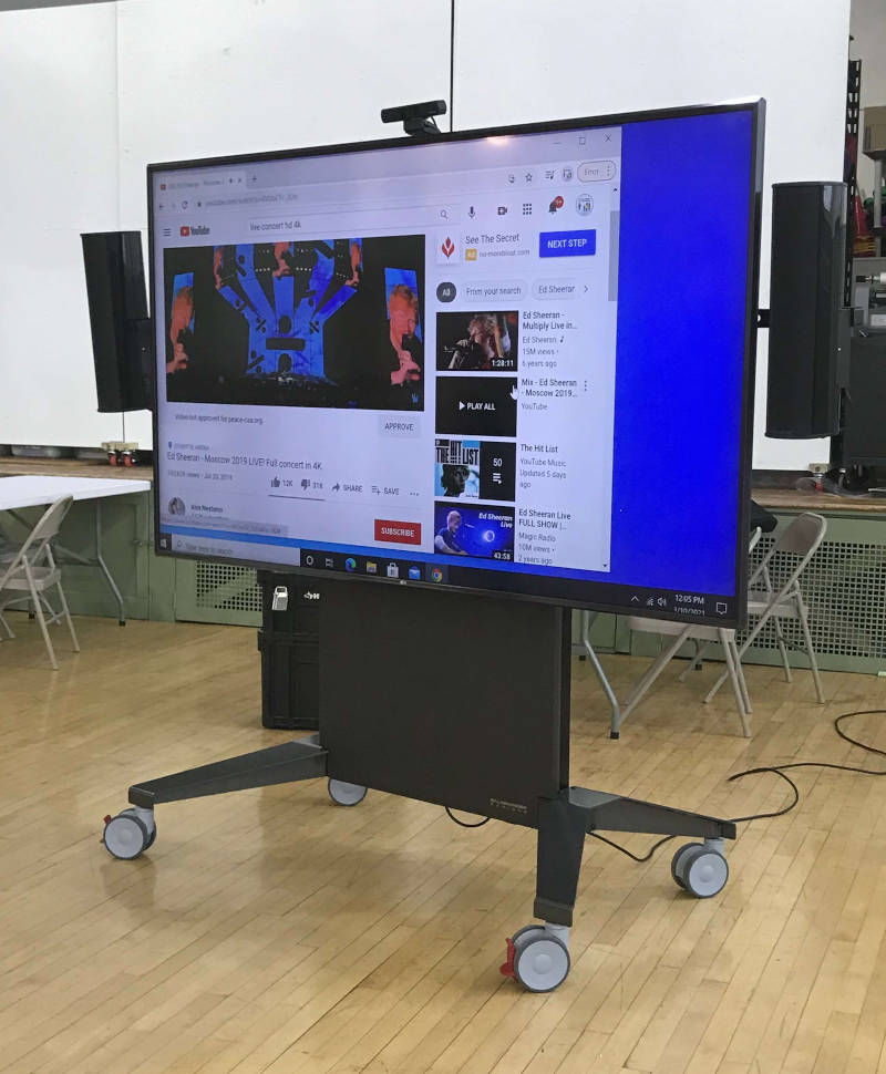 Mobile video conferencing cart 